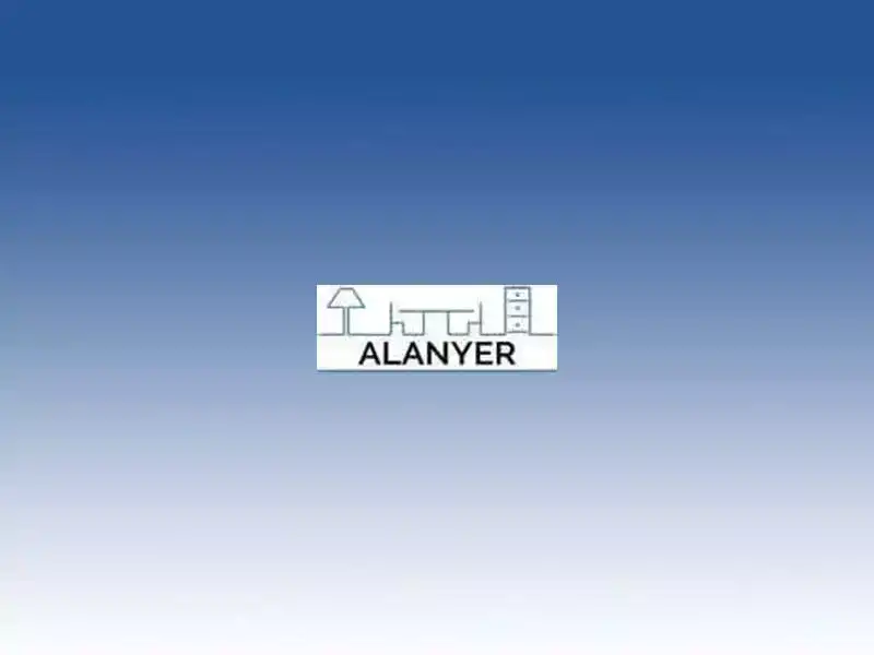 alanyer-logo
